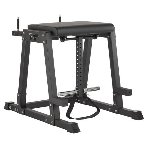 Correct Your Form - Reverse Hyperextension | Mirafit