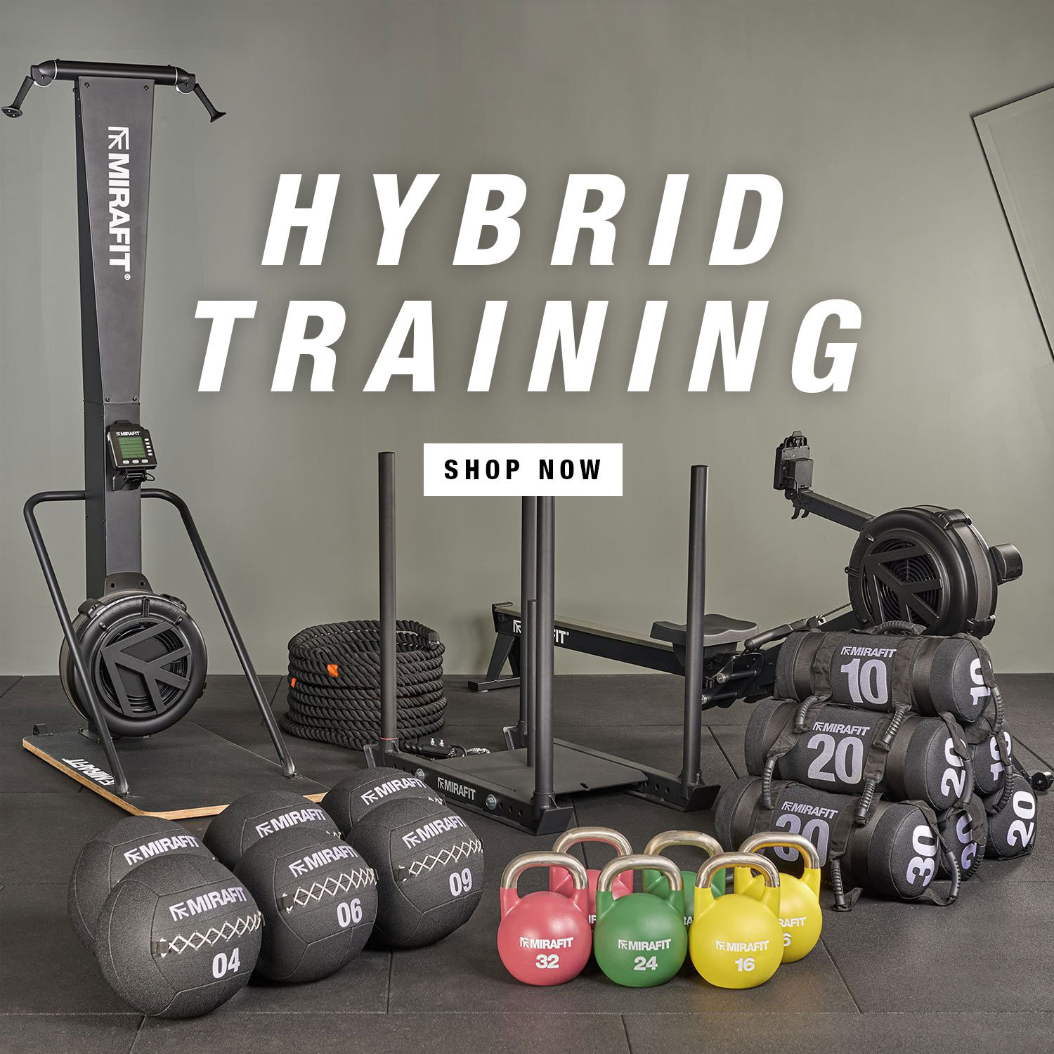 Hybrid Training