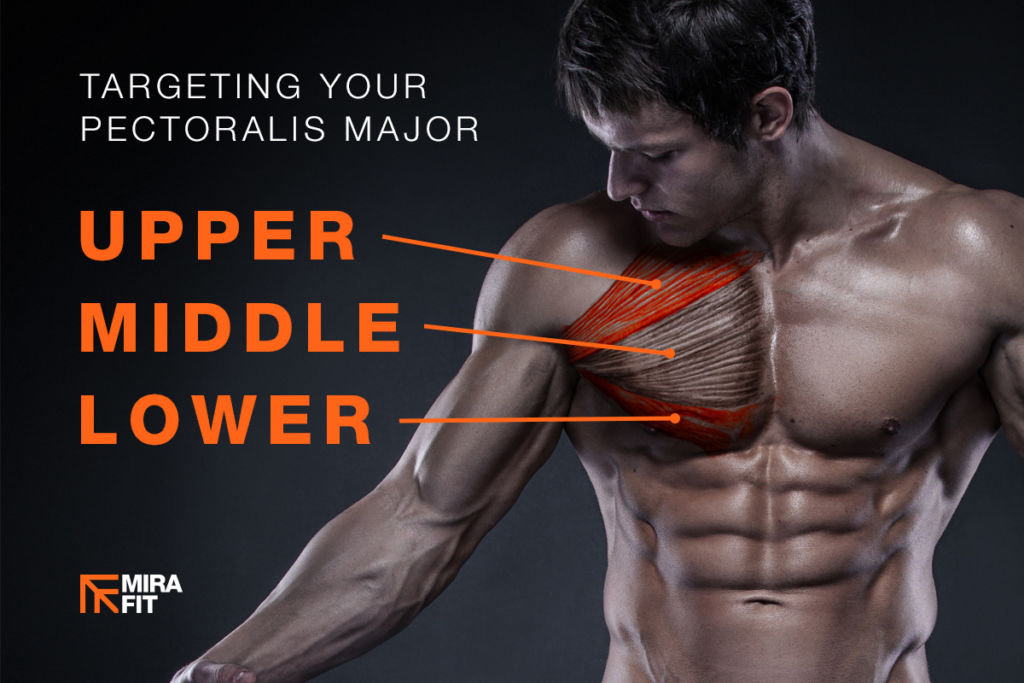 Best Exercises For Your Upper, Middle And Lower Chest