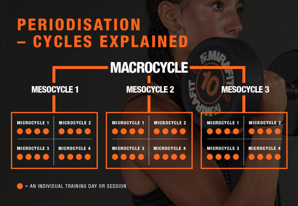 What Are The Different Types Of Periodisation Mirafit What Are The Different Types Of Periodisation Mirafit