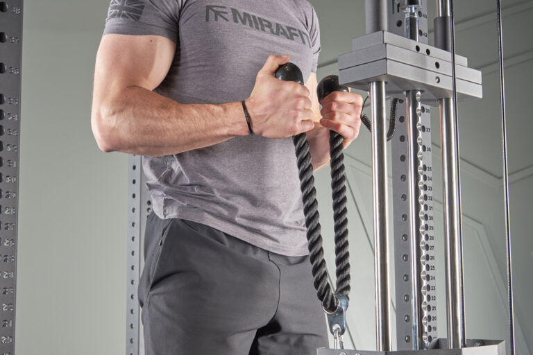 Biceps and Triceps Workout